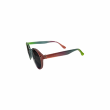 Load image into Gallery viewer, Óculos LS492 Colorido